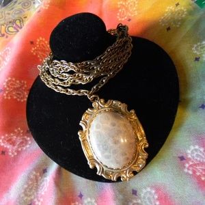 Necklace With Large Polished Petoskey Stone